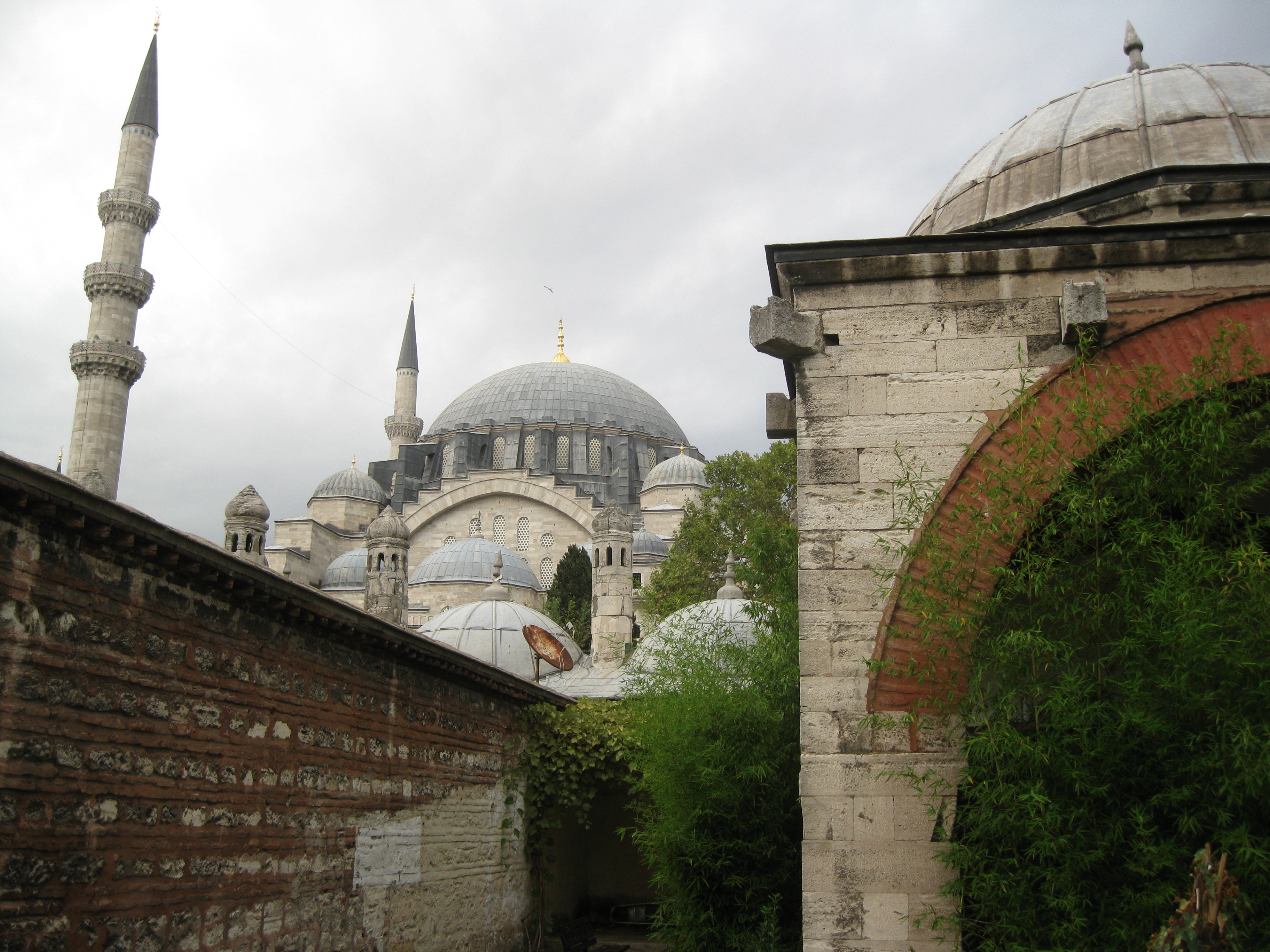 A view of Süleymaniye Camii from the courtyard of the reading room.