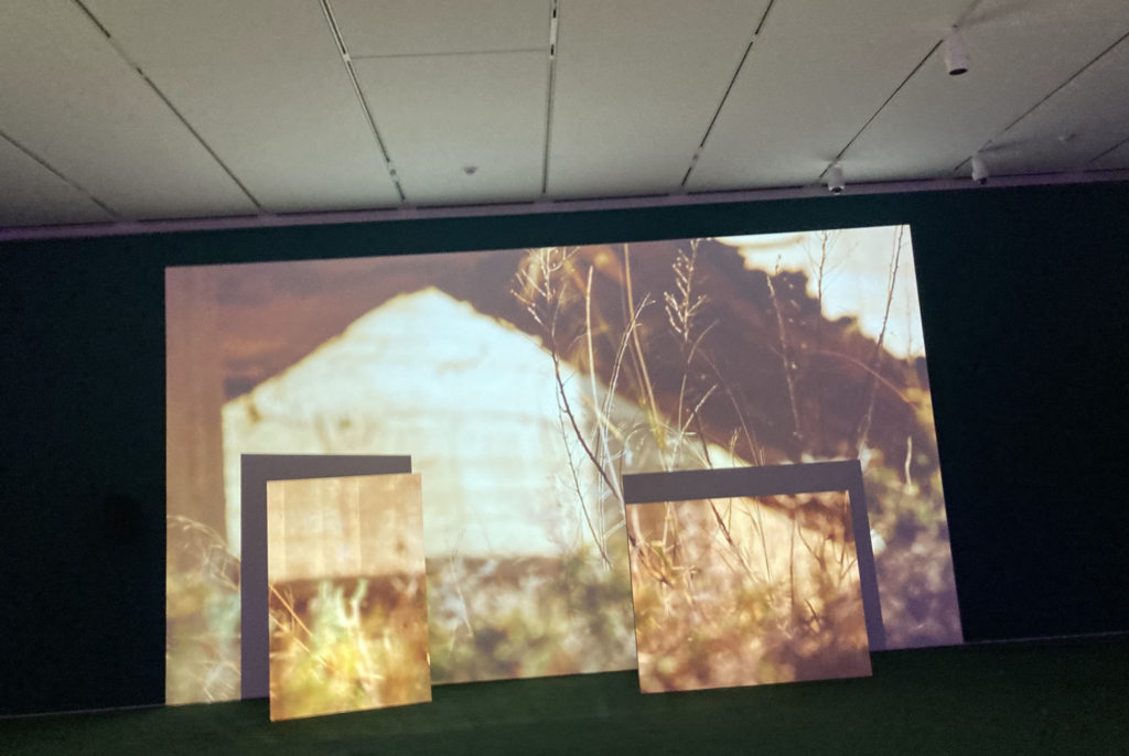 Image of a dark gallery room with a green carpet. Still of video being projected onto boards. Note that the wooden boards the images are projected onto are overlapping and are of different sizes. Image is of the Palestinian countryside, with brush in the forefront.
